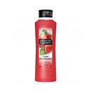 Alberto Balsam Shampoo 350M Sweet Strawberry <br> Pack size: 6 x 350ml <br> Product code: 171053