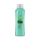 Alberto Balsam Shampoo Tea Tree 350Ml <br> Pack Size: 6 x 350ml <br> Product code: 171046
