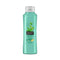 Alberto Balsam Shampoo Tea Tree 350Ml <br> Pack Size: 6 x 350ml <br> Product code: 171046