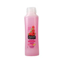 Alberto Balsam Raspberry Shampoo 350ml <br> Pack Size: 6 x 350ml <br> Product code: 171041
