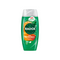 Radox Feel Refreshed Shower Gel 225Ml <br> Pack size: 6 x 225ml <br> Product code: 316321