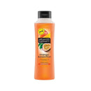 Alberto Balsam Shampoo Mango & Passion 350ml <br> Pack size: 6 x 350ml <br> Product code: 171055
