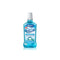 Wisdom Fresh Effect Mouthwash Coolmint 500ml <br> Pack size: 8 x 500ml <br> Product code: 295665