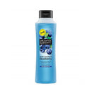 Alberto Balsam Shampoo 350M Blueberry <br> Pack size: 6 x 350ml <br> Product code: 171044