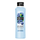 Alberto Balsam Conditioner 350M Blueberry <br> Pack size: 6 x 350ml <br> Product code: 180544