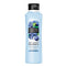 Alberto Balsam Conditioner 350M Blueberry <br> Pack size: 6 x 350ml <br> Product code: 180544
