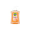 Dettol Antibacterial Liquid Hand Soap Grapefruit 250Ml <br> Pack size: 6 x 250ml <br> Product code: 332620