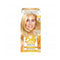 Garnier Belle Colour Light Honey Blond (9.3) <br> Pack size: 3 x 1 <br> Product code: 200670